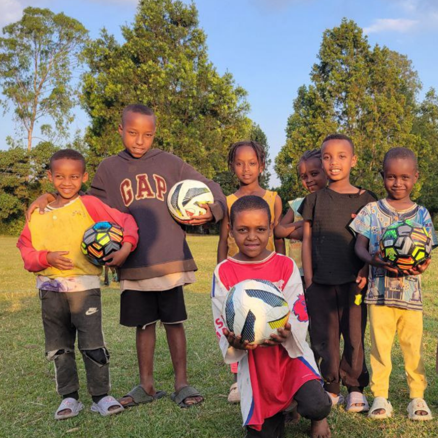 Soccer Balls For A School