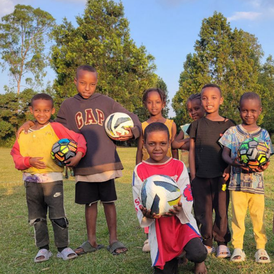 Soccer Balls For A School